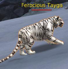 Ferocious Tayga